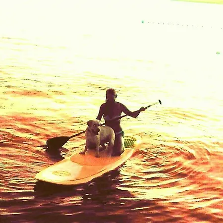 Harmonie - Adults Only +14