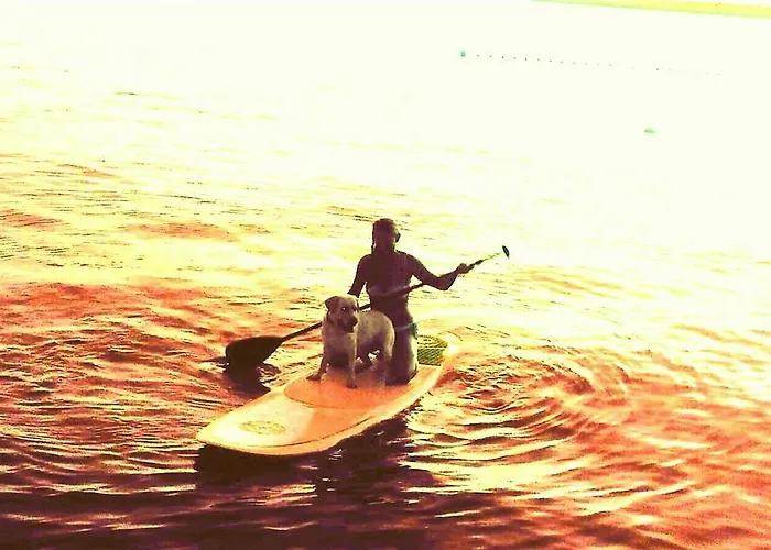 Harmonie - Adults Only +14