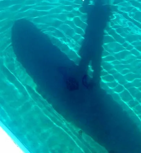 Bed & Breakfast Harmonie - Adults Only +14 4*