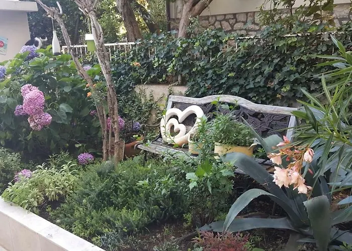 Bed & Breakfast Harmonie - Adults Only +14