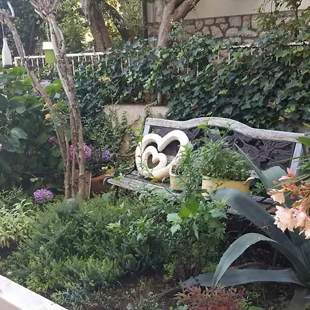 Bed & Breakfast Harmonie - Adults Only +14
