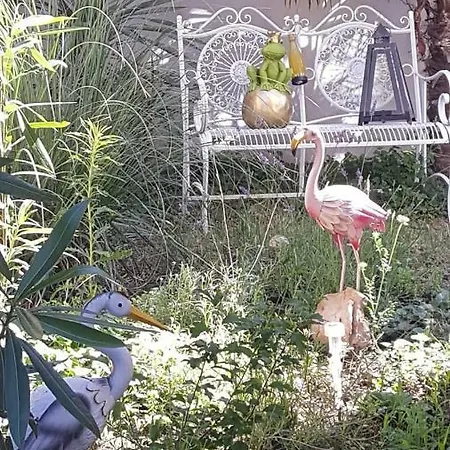 Harmonie - Adults Only +14